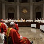 Cardinals in the Catholic Church - Pillars of Faith and Service Cardinals in the Catholic Church - Pillars of Faith and Service
