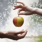 Original Sin - What Every Christian Should Know Original Sin - What Every Christian Should Know